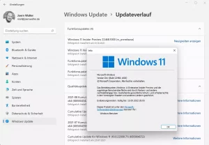 Das Windows 11 (rs_prelease)